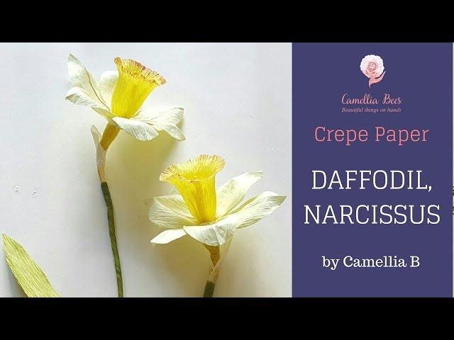 Crepe paper flowers, How to make Paper Narcissus (Daffodil) from crepe paper - Easy and Realistic