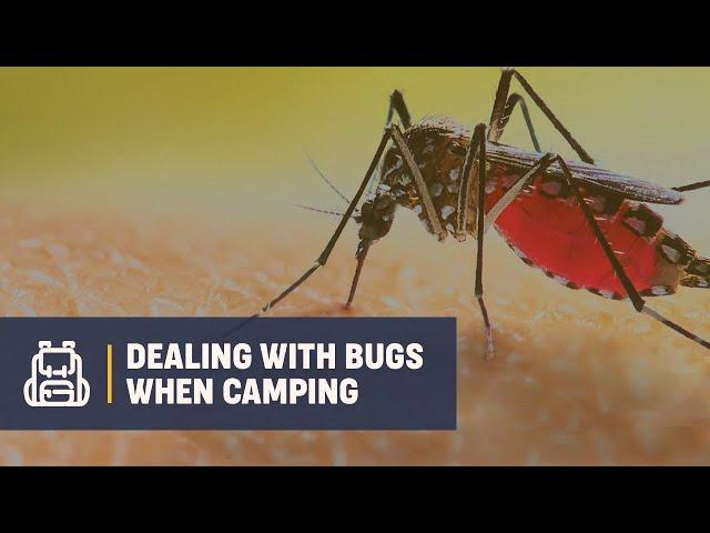 Life Hacks for Dealing with Bugs When You're Vacationing Outdoors | Campsite Classes