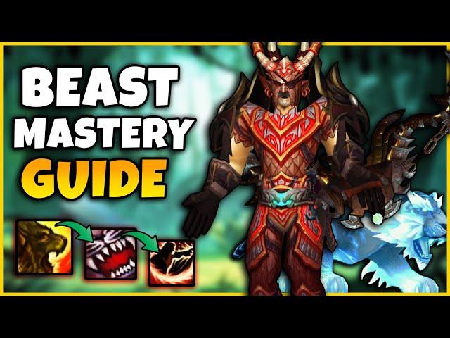 Beast Mastery CATACLYSM PVP Guide | Stats, Gear, Talents, Macros, Pets, Gamplay | CATA CLASSIC