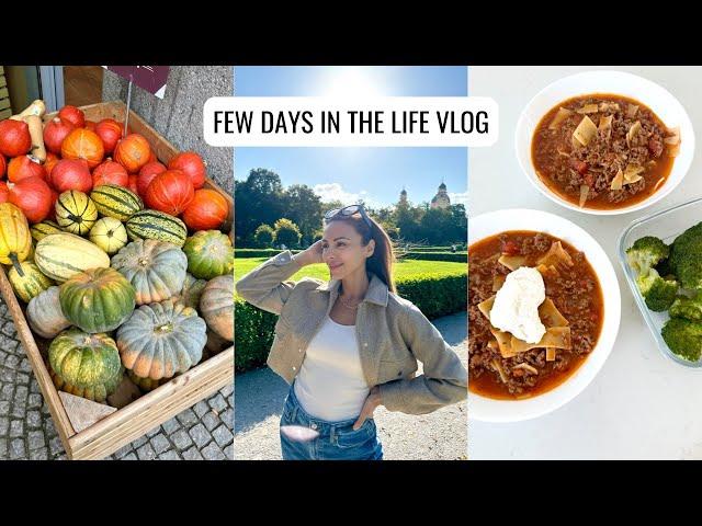 VLOG | How To Stay Consistent, Lasagna Soup Recipe, Fall Baking & more! | Annie Jaffrey