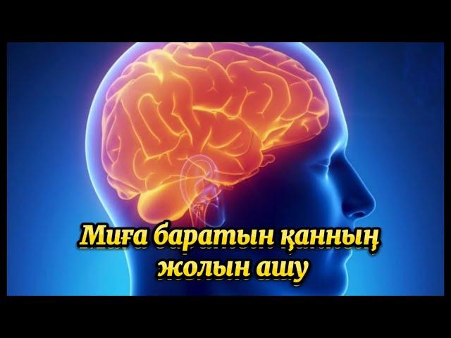 Миға баратын қанның жолдарын ашу..