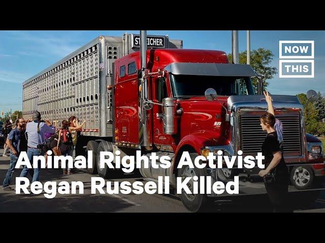 Animal Rights Activist Regan Russell Killed at Pig Vigil | NowThis