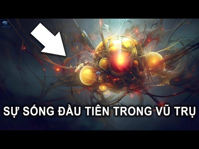 Sự sống đầu tiên trong vũ trụ xuất hiện như thế nào? | Thiên Hà TV