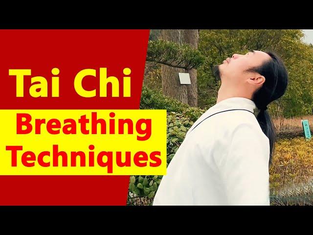 The Breath of Tai Chi: Unlocking Inner Power through Breathing Techniques