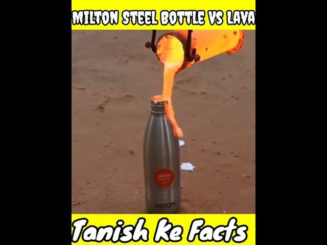 Milton steel Bottle VS Lava#shorts