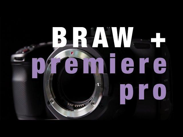 Edit BRAW in Premiere Pro! Free update from Blackmagic (no plugin)