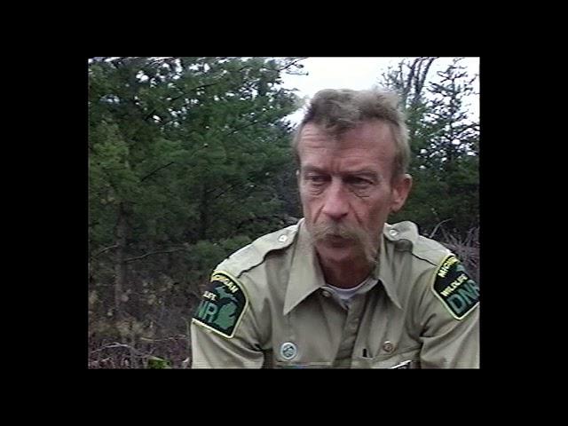 The Kirtland's Warbler In the Jack Pine Ecosystem