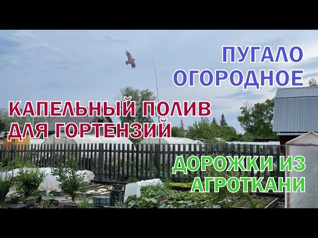 Капельный полив | Дорожки | Отпугиватель птиц