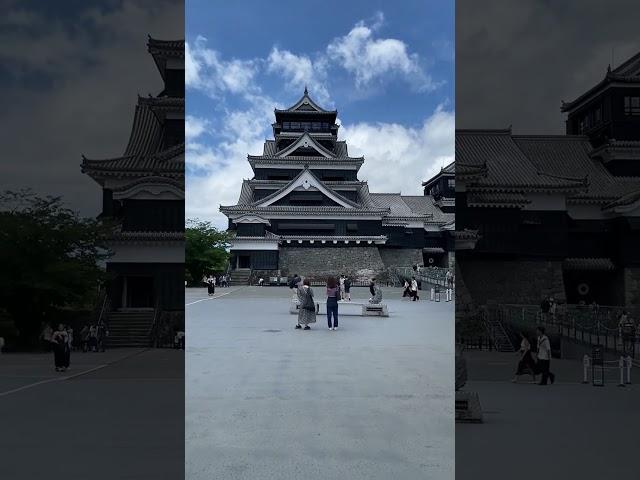 Kumamoto castel #jepangvlog #japan  #kumamoto