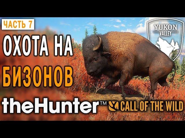 theHunter Call of the Wild #7  - Охота на Бизонов - Долина Юкона, Аляска