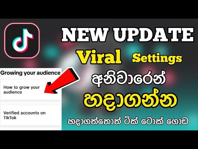 New Update Tik Tok Viral Setting 2024 | 100 % Working | Unfreeze & Increase Followers Views Likes