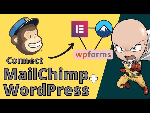 Connect Mailchimp With Contact Form 7, Elementor Form, WPForms, Gravity, Fluent  | FREE | Tutorial