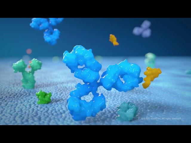 Medical Animation 2018 AXS Showreel