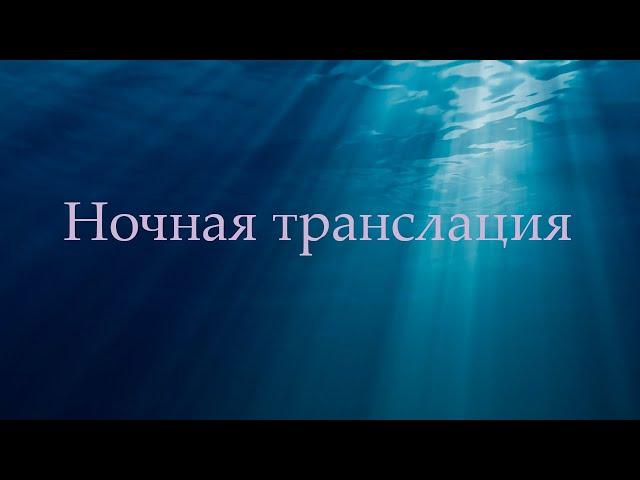 Ночная Трансляция. Каких людей вы притягиваете в свою жизнь и почему.