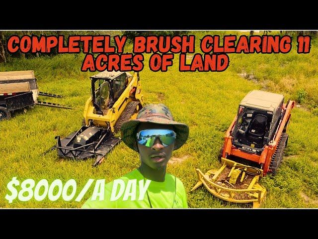 Completely Brush Clearing 11 Acres with Two Skid Steers | Is the Chinese Brush Cutter Worth Buying?