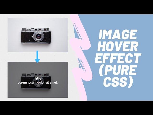 Css Image Hover Effect - How To Create Image Hover Overlay Effect - HTML & CSS Tutorial