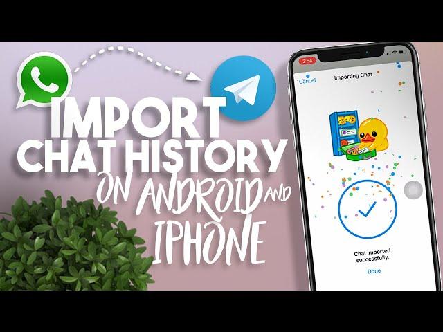 How to Import WhatsApp Chat History to Telegram