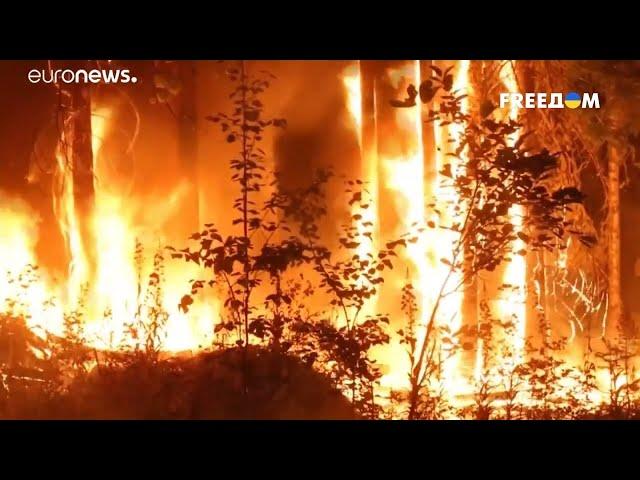 РФ не только ПЛЫВЕТ, но и ГОРИТ. Пожары охватывают территории от Сибири до Подмосковья