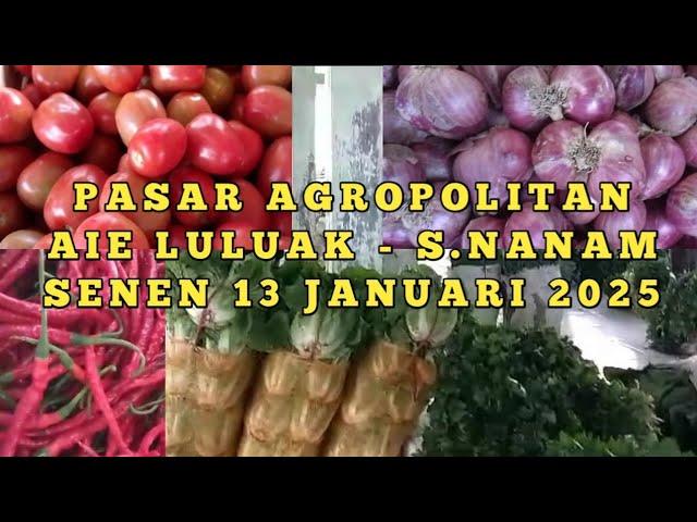 info harga bawang merah dan sayur dari sungai nanam, kab.solok #alahanpanjang