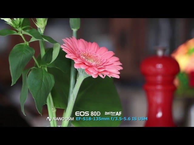 Canon EOS 80D- Dual Pixel CMOS AF