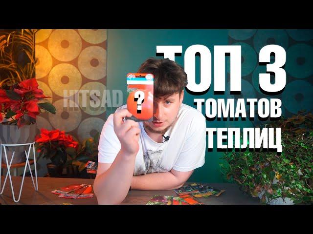 Самые лучшие томаты для теплиц 