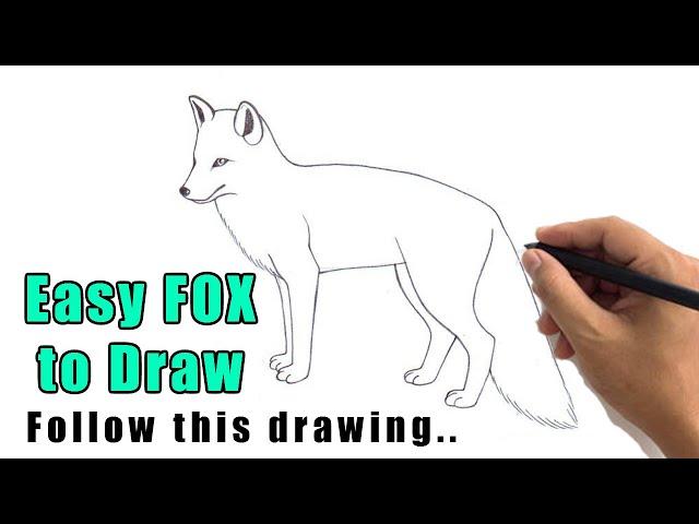 How to Draw a Fox Sketch Step by Step | Simple Fox Drawing for Beginners Easy Outline