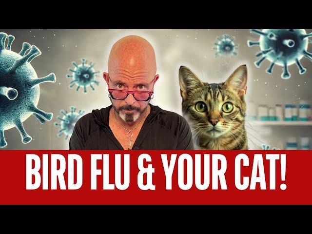 What you NEED to know about Bird Flu!