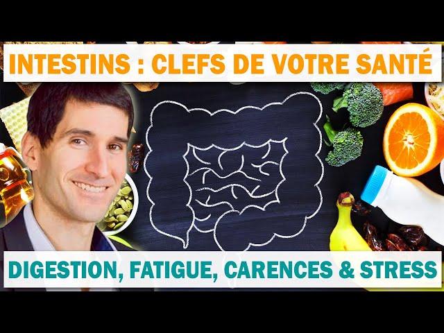 Le secret de santé par les INTESTINS : Digestion, fatigue, carences, stress et neurologie ?