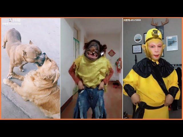 Top Funny Videos in Tik Tok Compilation