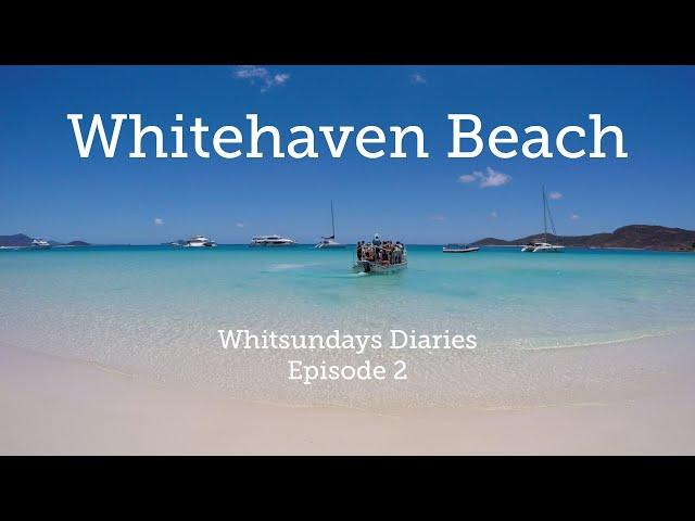 Whitehaven Beach Half Day Tour | Whitsundays Diaries Episode 2