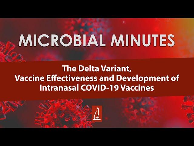 The Delta Variant, Vaccine Effectiveness and Development of Intranasal COVID-19 Vaccines