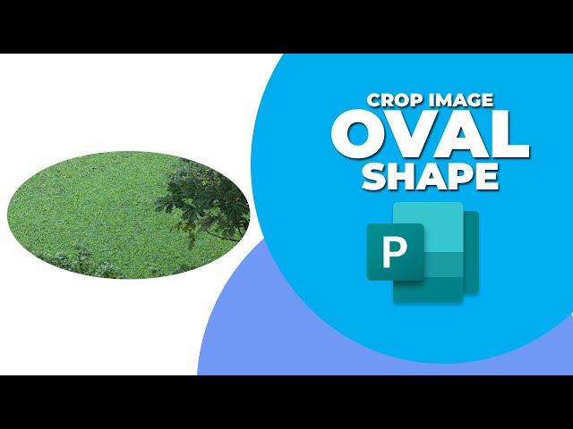 How to crop image into oval shape in Publisher