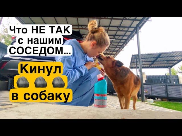 ВЛОГ Едем в Вайлдберис и рассказываем жуткую историю о СОСЕДЕ ! Купила КЛАССНЫЕ ДЖИНСЫ и кофточку !