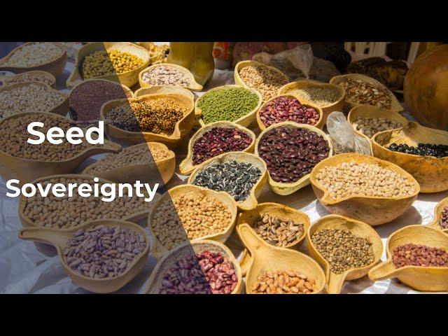 Seed Sovereignty