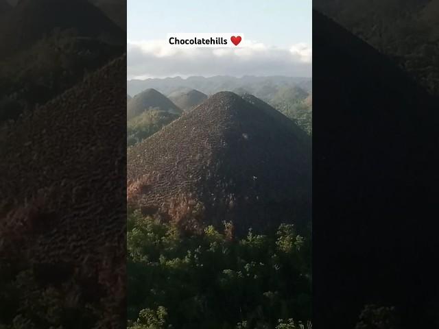 New Color Chocolatehills #shorts Amazing  #dacullobrothers #funny #funny #kmjs#viral#chocolatehills