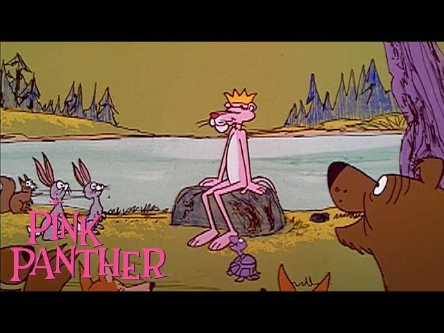 Pink Panther in the Wild! | 35-Minute Compilation | Pink Panther Show