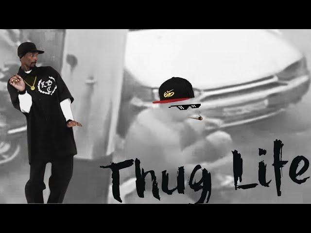 OS REIS DO THUG LIFE | THE KING OF THUG LIFE #62