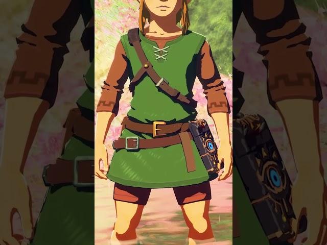 What is the BEST Armor Set in Zelda BotW?