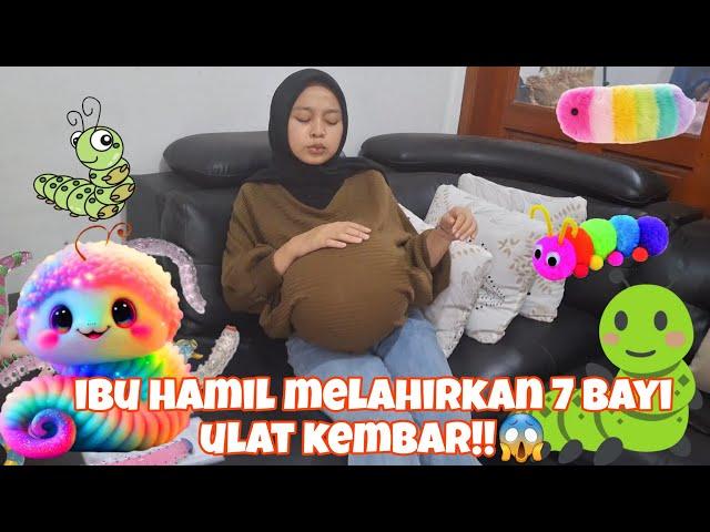 DRAMA PARODI IBU HAMIL MELAHIRKAN 7 BAYI KEMBAR