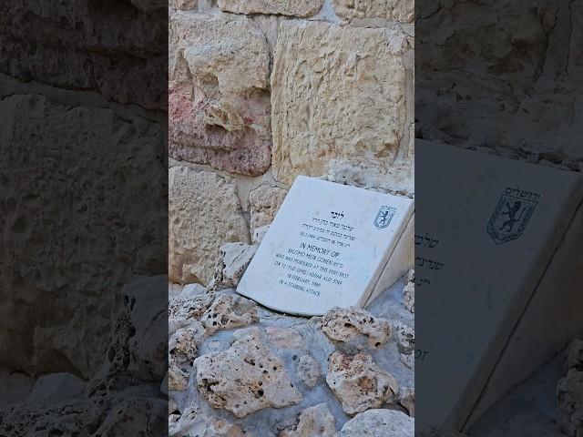 שלמה מאיר כהן הי"ד | זוכרים נופלים #nevergiveup #israel #prayforisrael #jerusalem #rip