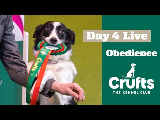 Obedience Day 4 LIVE | Dog Obedience Championship | Crufts 2025