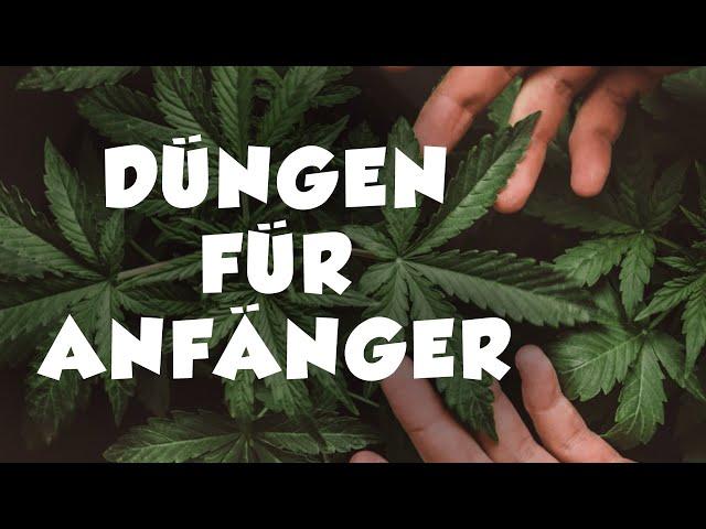 Wie man organisch düngt - für Anfänger