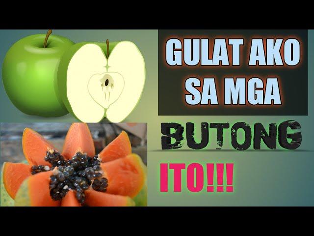 MGA NAKAKAMANGHANG BENEPISYO NG PAPAYA SEEDS AT APPLE SEEDS. NAKAKAGULAT!