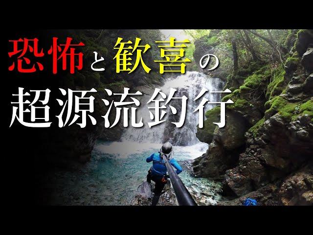 【源流大冒険】アマゴの楽園…！神秘の源流域を大冒険した先に待っていたのは…【渓流釣り】