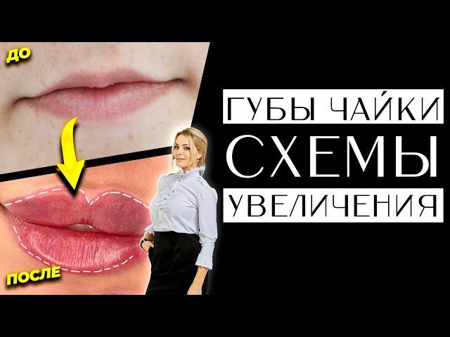 Губы - чайки СХЕМА увеличения