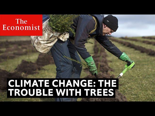 Climate change: the trouble with trees