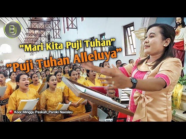 "Mari Kita Puji Tuhan - Puji Tuhan Alleluya" - Minggu Paskah (Ling. Sta.Maria Ratu Pencinta Damai)