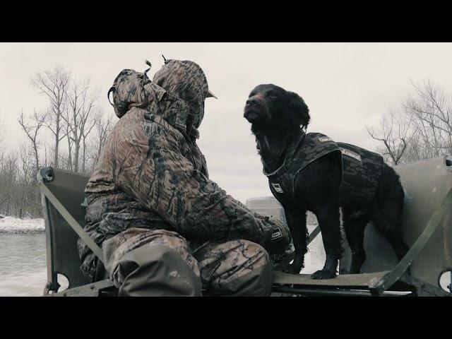 Understanding the Boykin Spaniel (A Valley Way Film)