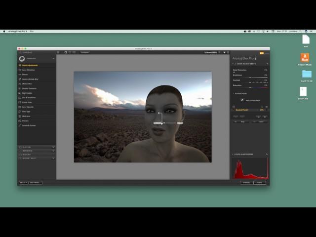 Analog Efex Pro 2 from Nik (google) application tutorial