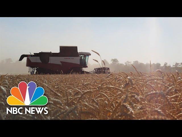 Ukrainian Farmer Braves Frontline Shelling To Harvest His Fields